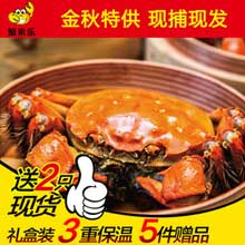 蟹来乐 阳澄湖大闸蟹 现货 礼盒装 8只1268型 公螃蟹4.3-4.6两 母3.1-3.3两